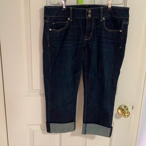 American Eagle Artist Capri Jeans